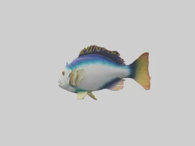 Tilefish statue model Low-poly 3D model
