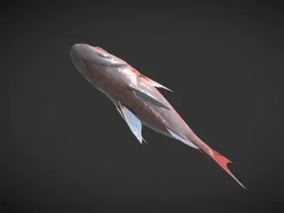 Carp 01 Low-poly 3D model