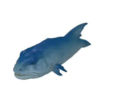 Realistic Barracuda 3D Model Low-poly 3D model