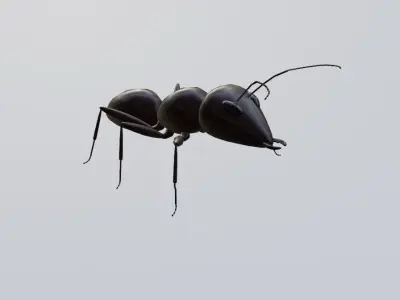 Ant - Formiga Low-poly 3D model