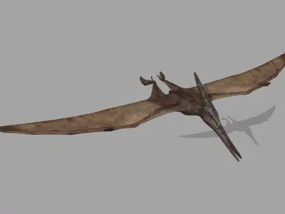 Pterosaur Forever 8K - 3d animated model 3D model