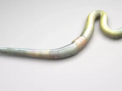 Green Worm 3D model