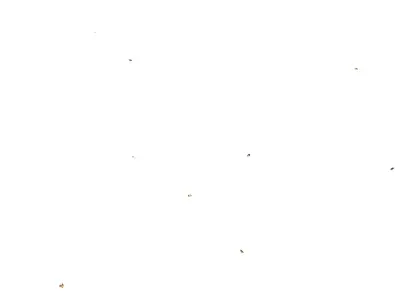 Butterflies looping animation  Low-poly 3D model