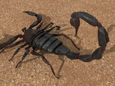 A highly detailed and UV textured 3d model of a scorpion 3D model