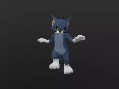 TOMC-004 Tom Cat Floating Low-poly 3D model