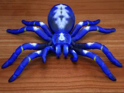 Tarantula - Gooty Sapphire Spider - Poecilotheria Metallica 3D model