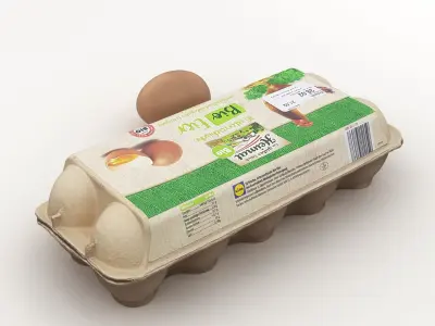 Egg Carton 001 3D model