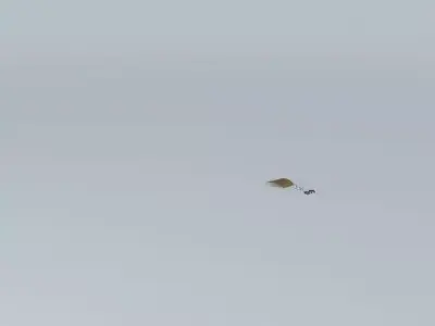 The Bad Pun Racer Free 3D model