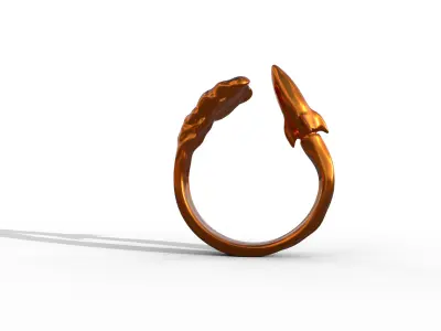 High-Quality 3D Ring Jet Model Low-poly 3D model