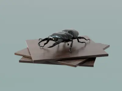 House Decoration Stag Beetle Statue Low-poly 3D model