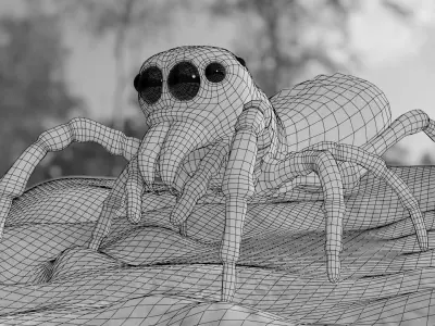 Jumper-Spider spider Low-poly 3D model