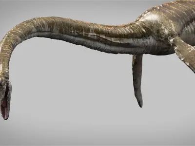 Elasmosaurus Rigged Low-poly 3D model