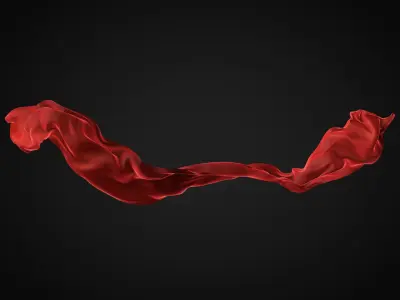 Cloth simulation 3D model