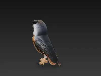 Owl Wild 3D Model Basic - Low Poly Simple Low-poly 3D model
