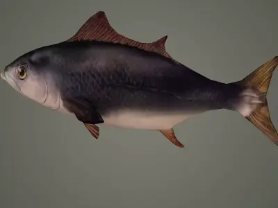 fish underwater ocean sea water animal sardine shoal nature 3D model