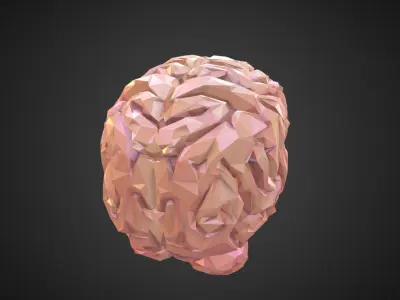 Brain Real Low Polygon Art Medical Low-poly 3D model
