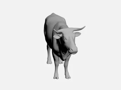 Ox-wild animals 3D model