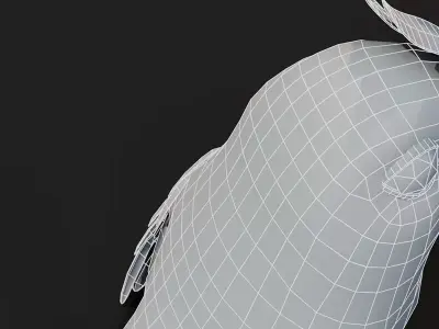 Cartoon Parrot Bird Base Mesh 3D Model Free low-poly 3D model