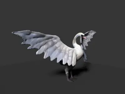 white swan  3D model