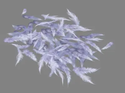 Cartoon bird feathers Low-poly 3D model