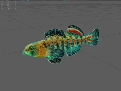 Darter Low-poly 3D model