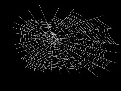 Spider Web 3D model