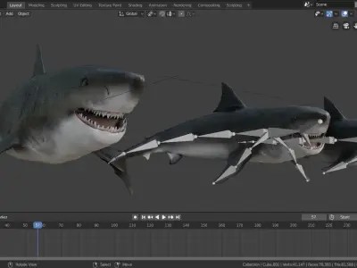 animated sharks 3D model