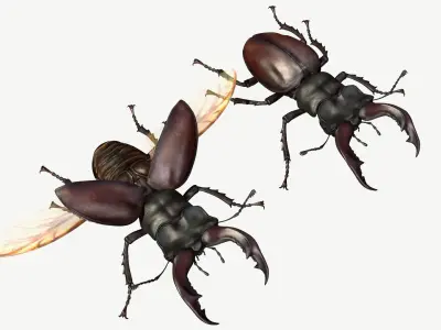 Stag Beetle Low-poly 3D model