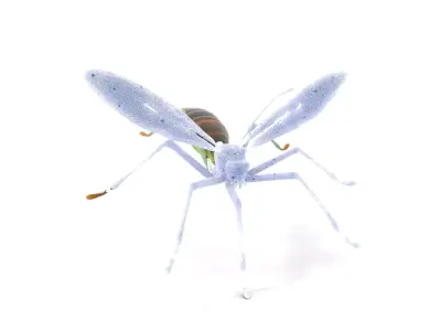 Green Insect Drone model pack Low-poly 3D model