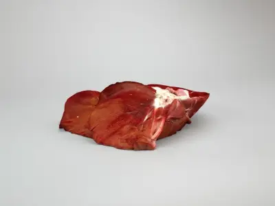 Raw Pig Liver Low-poly 3D model