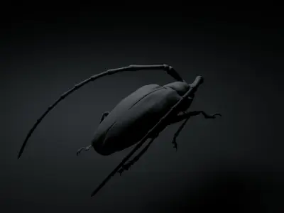 Anoplophora malasiaca 3D model