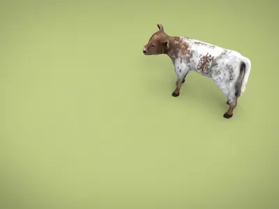 REALISTIC CALF cow 3D model