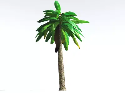 EVERYPlant Bjuvia Cycad LowPoly 3 --12 Models-- Low-poly 3D model