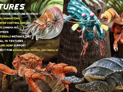 Crab - Coconut Crab - Mantis Shrimp - Sea Turtle - Nautilus - 70 Low-poly 3D model