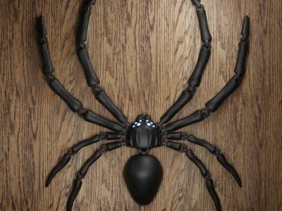 Flexi spider 3D print model