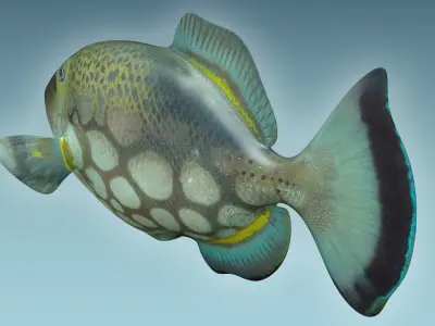 Trigerfish fish flying in sky 3D model