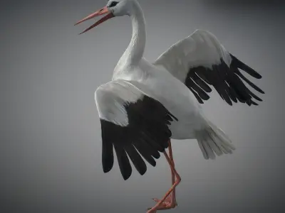 Animated Stork 3D model