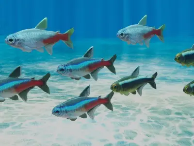 Neon Tetra Fish 3D model