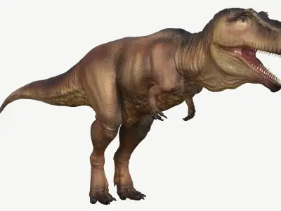 Giganotosaurus tyrannosaurus Low-poly 3D model