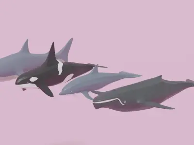 Cartoon Sea Animals Pack Low-poly 3D model