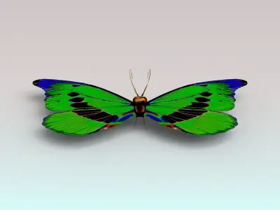 Butterfly with wings Low-poly 3D model