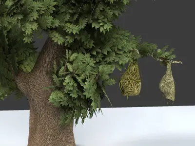 Baya Weaver Nest 3D model