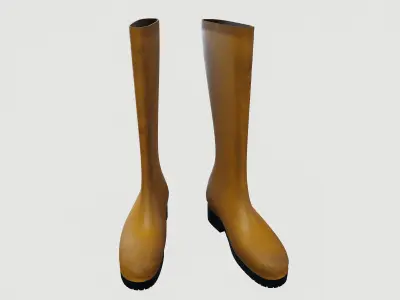 Rubber Boots 3D model