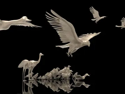 Bird Collection low poly game ready Low-poly 3D model