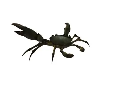 Rigged Crab Model Low-poly 3D model