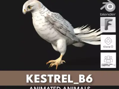 Kestrel B6 3D model