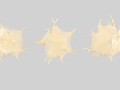 Activated Platelets 3D model