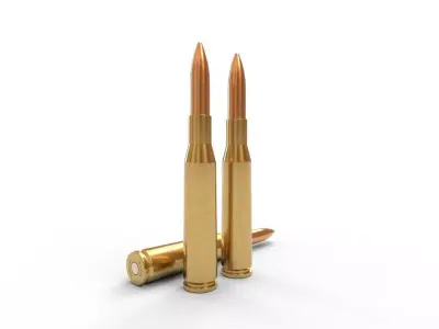 65x58mm Vergueiro Ammo Low-poly 3D model