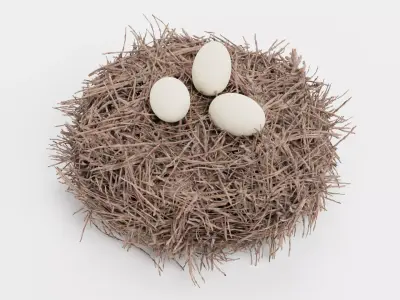 -Stork Nest with Eggs- 3D model