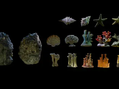 Reef Asset Pack Low-poly 3D model